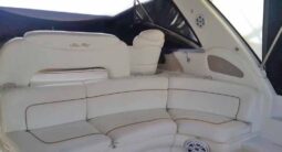 
										SEA RAY SUNDANCER 46 full									