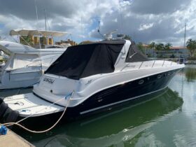 SEA RAY SUNDANCER 46