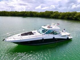 SEA RAY SUNDANCER 48