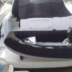 
										SEA RAY SUNDANCER 48 full									