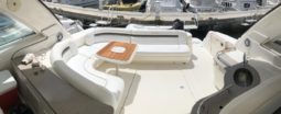 
										SEA RAY SUNDANCER 48 full									