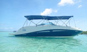 SEA RAY SUNDECK 260 26