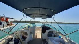 
										SEA RAY SUNDECK 260 26 full									