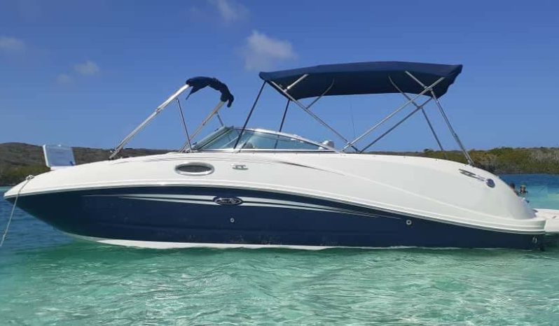 
								SEA RAY SUNDECK 260 26 full									