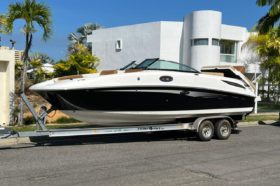 SEA RAY SUNDECK 280