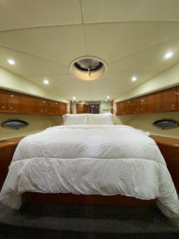 
										SUNSEEKER PREDATOR 62 full									