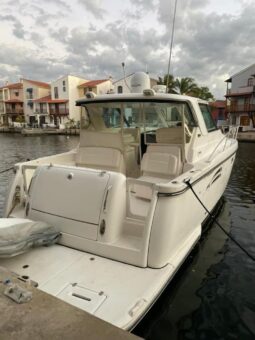 
										TIARA 39 full									