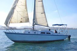 VELERO CONTINENTAL MERMAID 30, VENTA DE VELERO CONTINENTAL MERMAID 30, VELERO CONTINENTAL MERMAID 30 DE LECHERIA