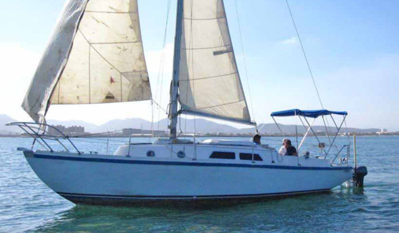 VELERO CONTINENTAL MERMAID 30, VENTA DE VELERO CONTINENTAL MERMAID 30, VELERO CONTINENTAL MERMAID 30 DE LECHERIA