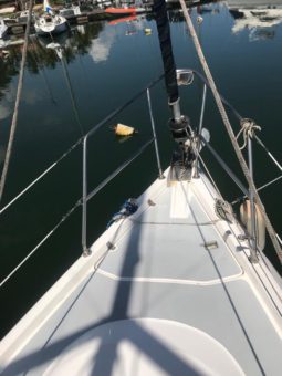 
										VELERO HUNTER 38 full									