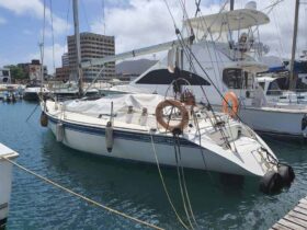 VELERO NAUDAR 40