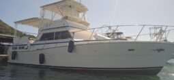 VIKING 43, VENTA DE VIKING 43, VIKING 43 DE TUCACAS