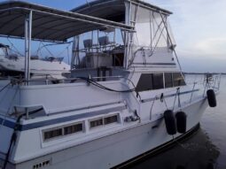 
										VIKING 43 full									