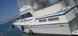 
										VIKING 43 full									