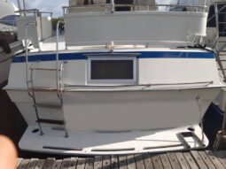 
										VIKING 43 full									