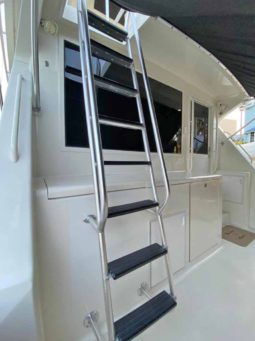 
										VIKING SPORT FISHERMAN 50 full									