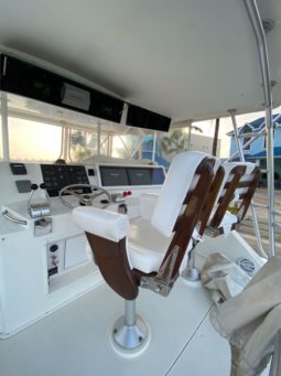 
										VIKING SPORT FISHERMAN 50 full									