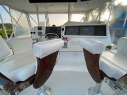 
										VIKING SPORT FISHERMAN 50 full									