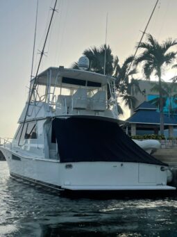 
										VIKING SPORT FISHERMAN 50 full									