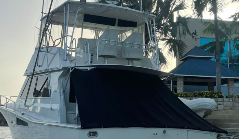 
								VIKING SPORT FISHERMAN 50 full									