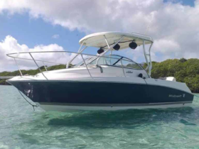 WELLCRAFT COASTAL 223