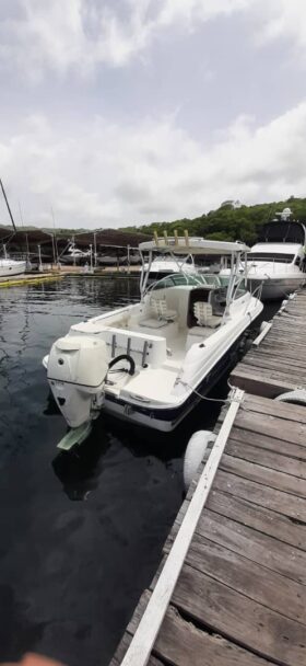 WELLCRAFT COASTAL 223