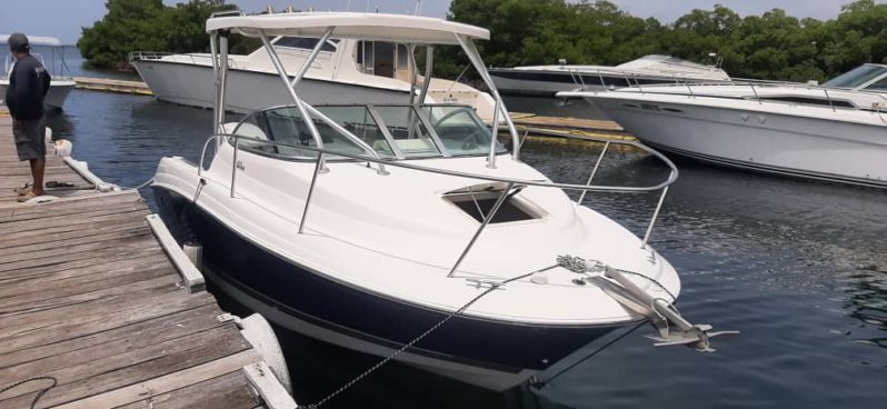 
								WELLCRAFT COASTAL 223 full									