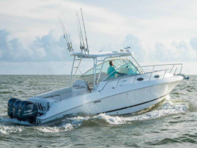 WELLCRAFT COASTAL 340