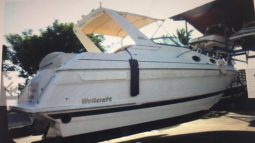 
										WELLCRAFT MARTINIQUE 32 full									