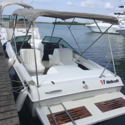 
										WELLCRAFT SPORTSMAN 180 full									