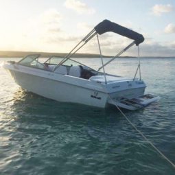 WELLCRAFT SPORTSMAN 180, VENTA DE WELLCRAFT SPORTSMAN 180, WELLCRAFT SPORTSMAN 180 DE TUCACAS