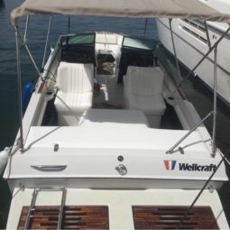 
										WELLCRAFT SPORTSMAN 180 full									