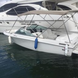 
										WELLCRAFT SPORTSMAN 180 full									