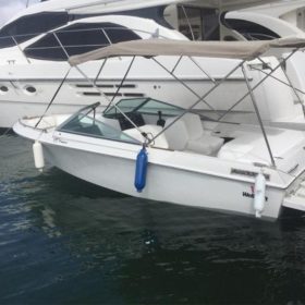 WELLCRAFT SPORTSMAN 180