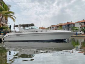 SEA RAY SUNDANCER 44