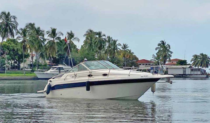 
								SEA RAY SUNDANCER 270 full									