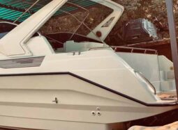 
										BAYLINER 36 full									