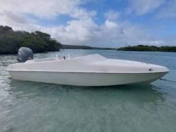 
										BLACK JACK SPORT 21 full									