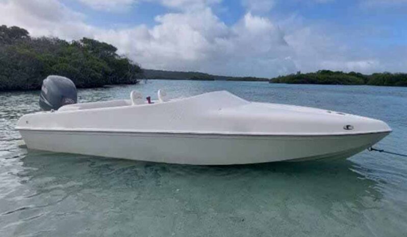 
								BLACK JACK SPORT 21 full									