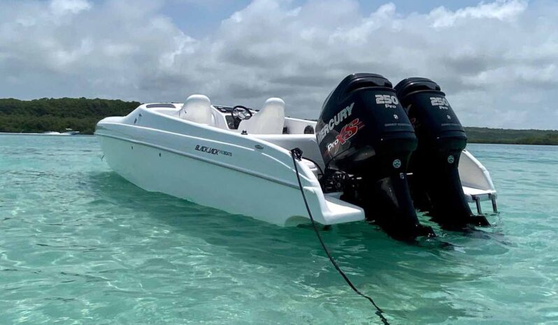 
								BLACK JACK SPORT 26 full									