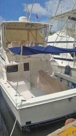 
										BLACKFIN SF 33 full									