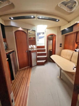 
										CRUISERS YACHTS COUPE 42 full									