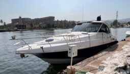 
										CRUISERS YACHTS COUPE 42 full									