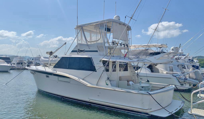 
								HATTERAS CONVERTIBLE 45 full									