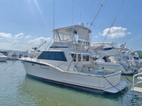 HATTERAS CONVERTIBLE 45