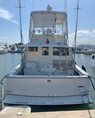 
								HATTERAS CONVERTIBLE 45 full									