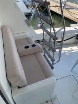 
										HATTERAS CONVERTIBLE 45 full									