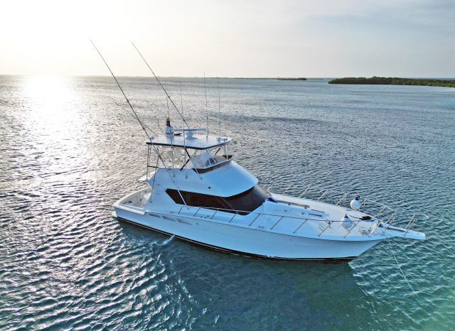 
								HATTERAS CONVERTIBLE 50 full									