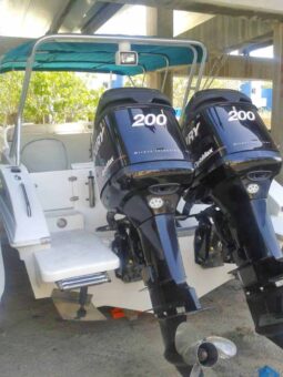 
										INTERMARINE Z 29 full									