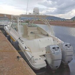 
										PROMARINE EXPRESS 34 full									